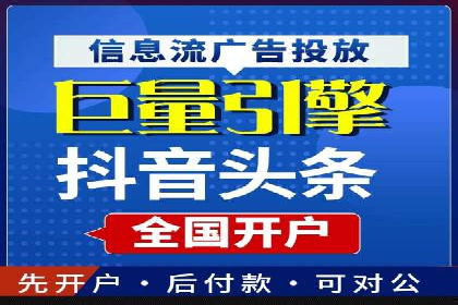 XX领域竞价广告的投放策略及效果展示
